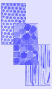 nanoparticules de formes contrôlées